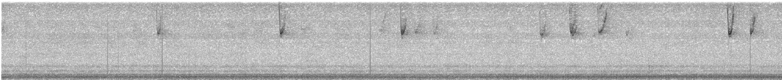 Chipping Sparrow - ML644253964