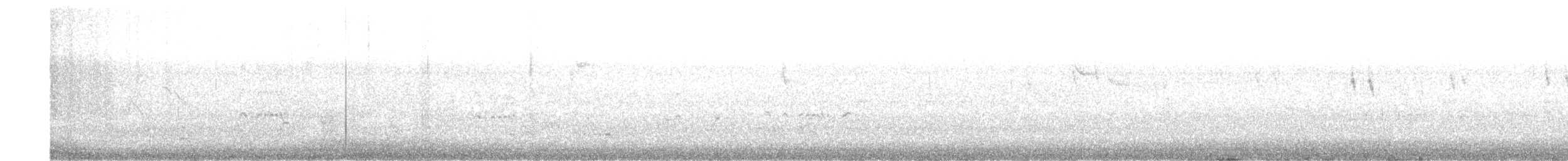Black-bellied Tern - ML644254172