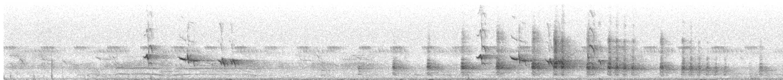 Fork-tailed Drongo (Clancey's) - ML644254285