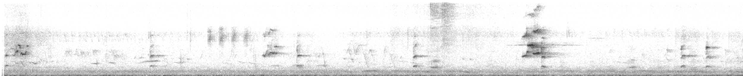 Lewin's Rail - ML644254652