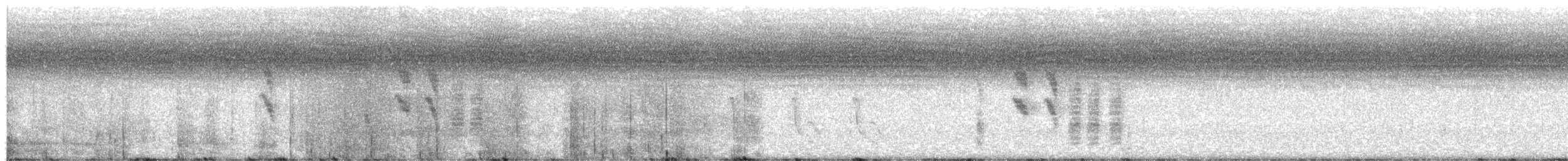 Carp's Tit - ML644254690