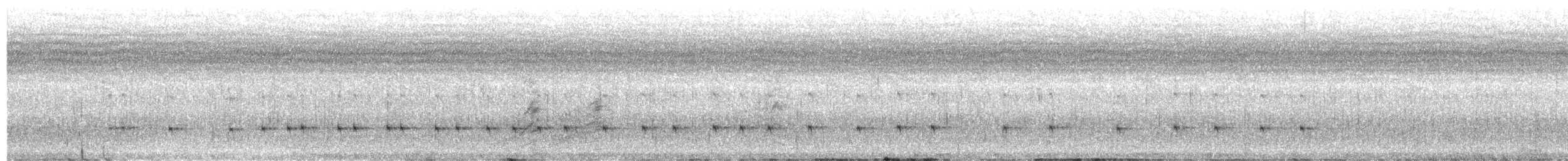 olivenbieter - ML644254759