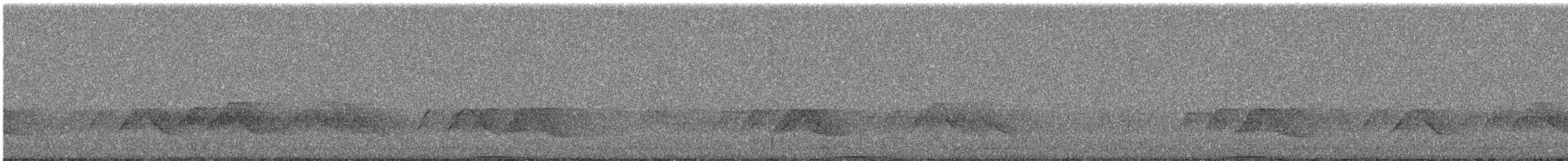 Ashy Wood-Pigeon - ML644254766