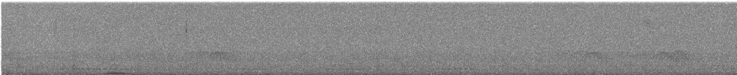 Ashy Wood-Pigeon - ML644254870