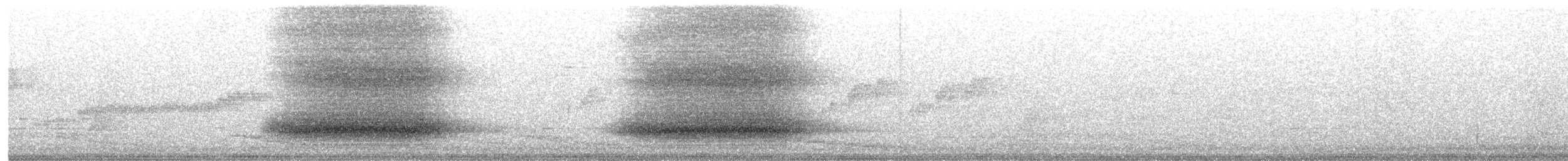 Paradise Riflebird - ML644254990