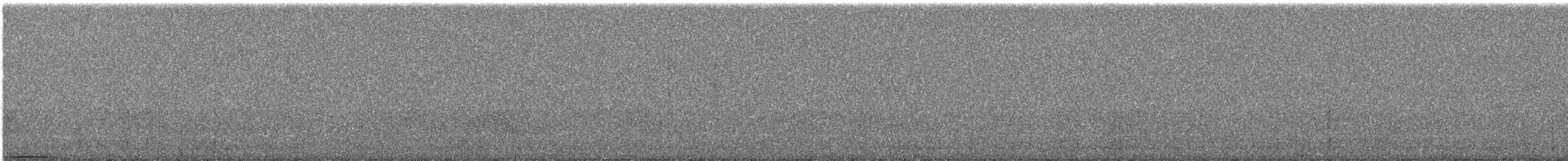 Ashy Wood-Pigeon - ML644255007