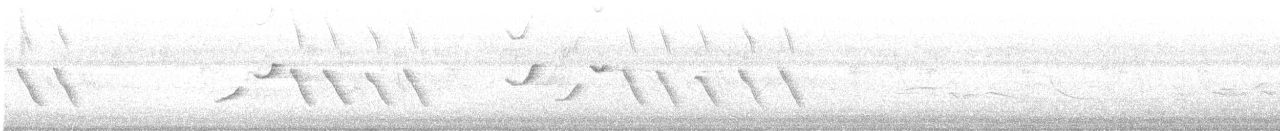 langstjertskredderfugl - ML644255140