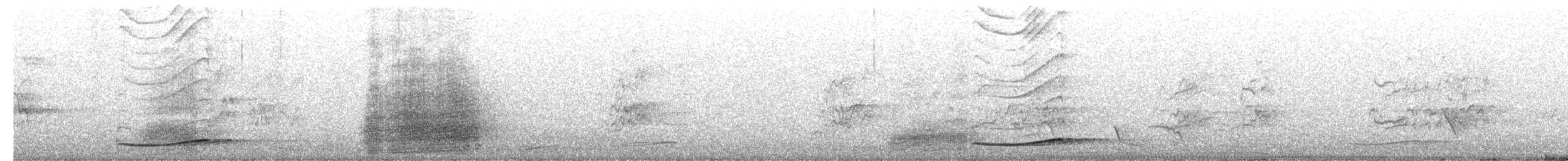 Pacific Koel - ML644255190