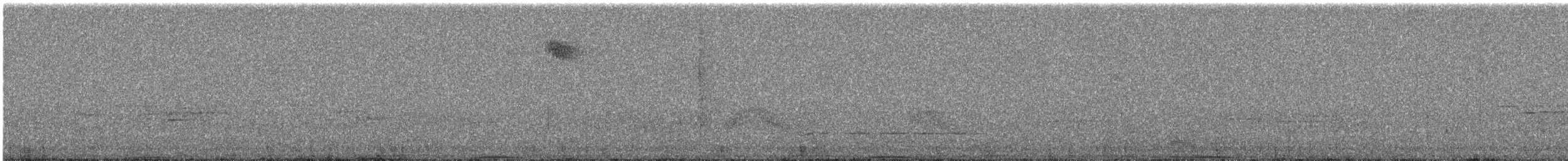 Ashy Wood-Pigeon - ML644255294