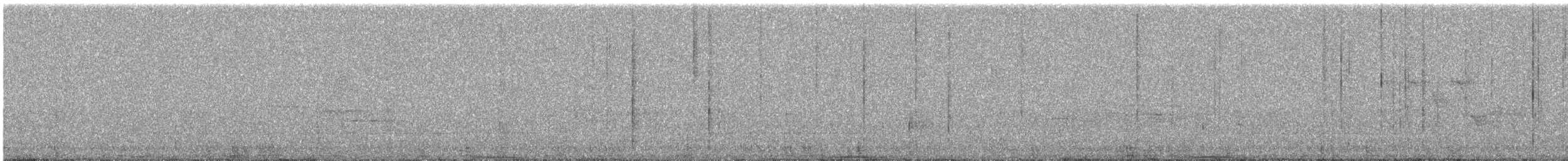 Ashy Wood-Pigeon - ML644255298