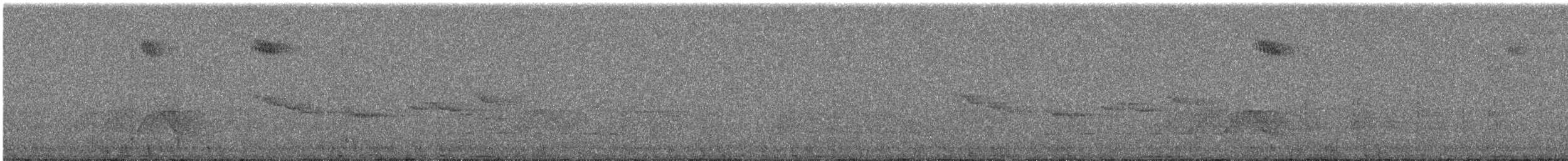 Ashy Wood-Pigeon - ML644255322