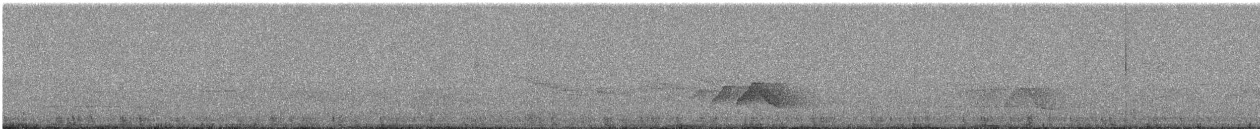 Ashy Wood-Pigeon - ML644255360