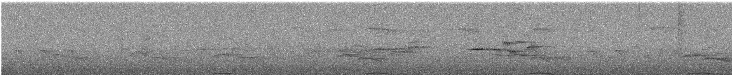 Ashy Wood-Pigeon - ML644255375