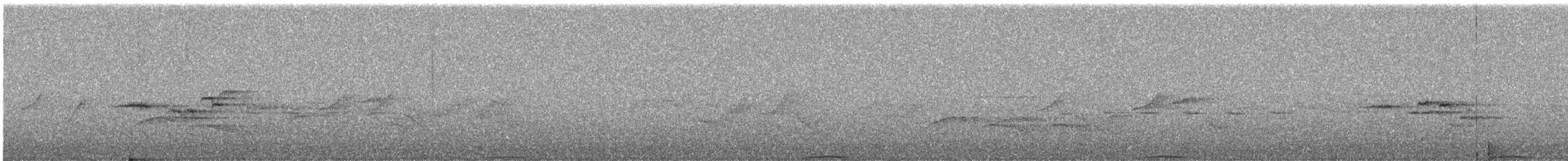 Ashy Wood-Pigeon - ML644255467