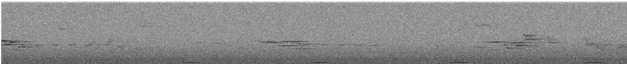 Ashy Wood-Pigeon - ML644255475