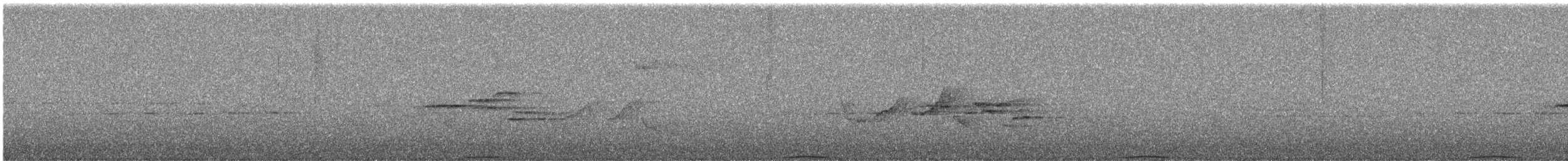 Ashy Wood-Pigeon - ML644255488