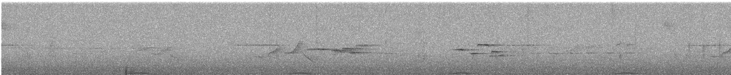 Ashy Wood-Pigeon - ML644255517