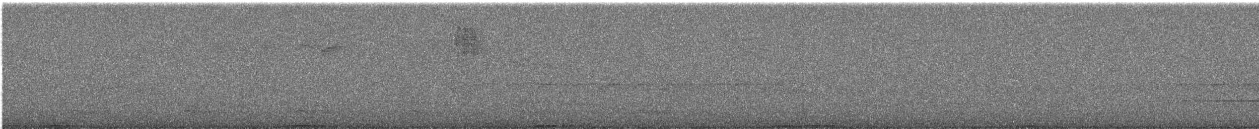 Ashy Wood-Pigeon - ML644255643