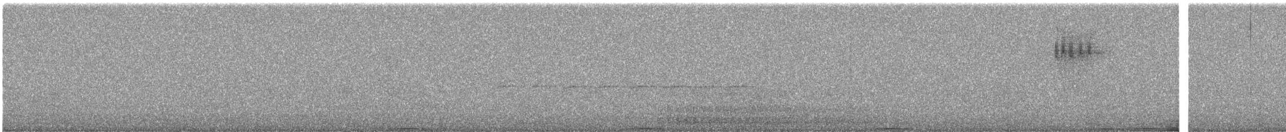 Ashy Wood-Pigeon - ML644255655