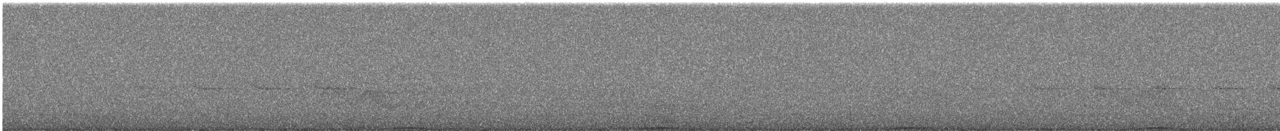 Ashy Wood-Pigeon - ML644255664