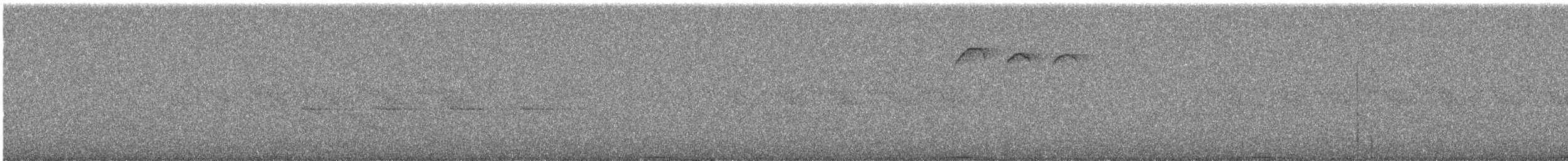 Ashy Wood-Pigeon - ML644255693