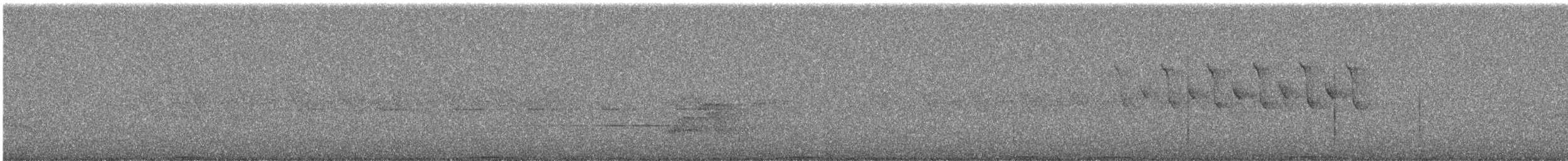 Ashy Wood-Pigeon - ML644255724