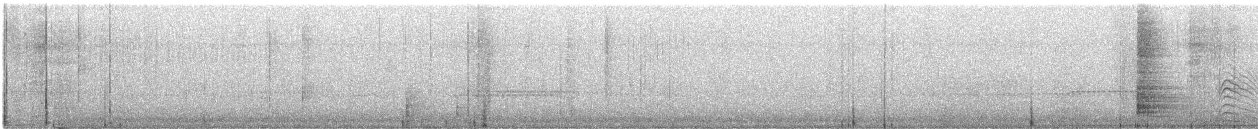 クーパーハイタカ - ML644255727