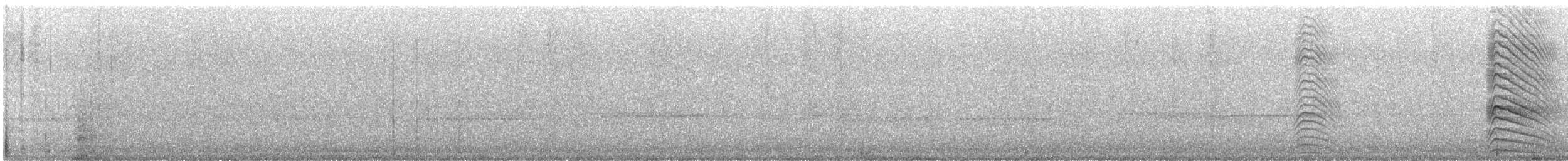 クーパーハイタカ - ML644255730