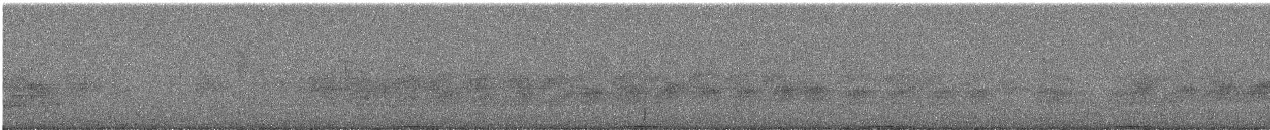 Ashy Wood-Pigeon - ML644255747