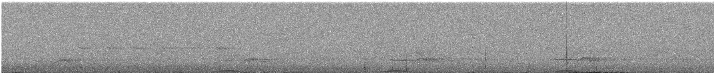 Ashy Wood-Pigeon - ML644255793