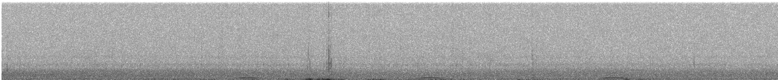 Ashy Wood-Pigeon - ML644255812