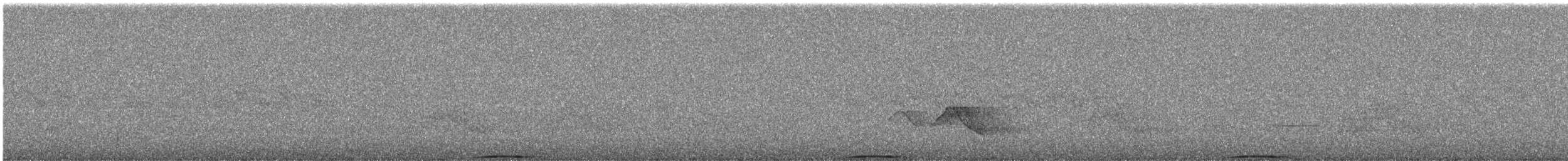 Ashy Wood-Pigeon - ML644255819