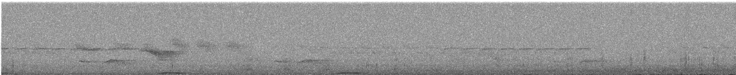 Ashy Wood-Pigeon - ML644255884