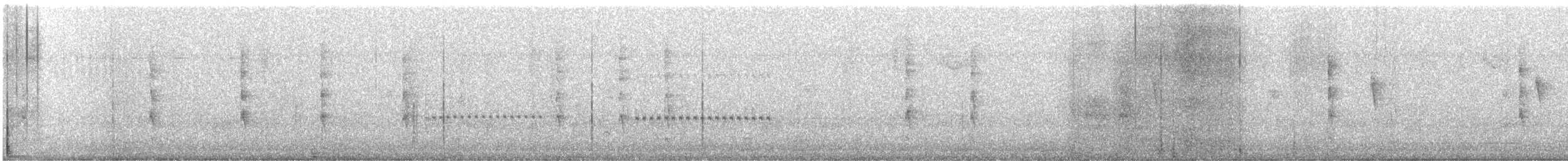 フユミソサザイ - ML644255953