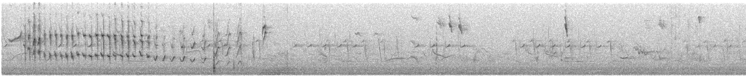 Cape Sugarbird - ML644255991