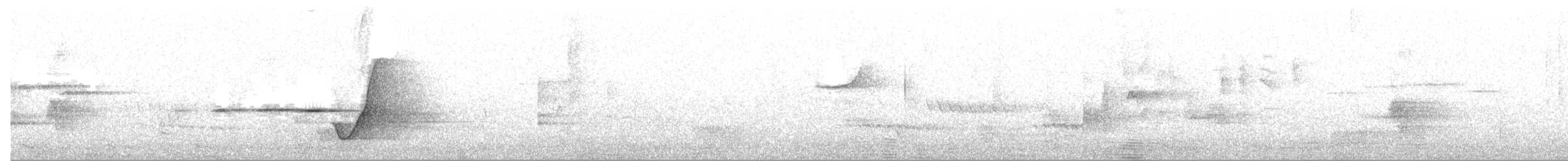 Gelbbauch-Dickkopf [pectoralis-Gruppe] - ML644256179