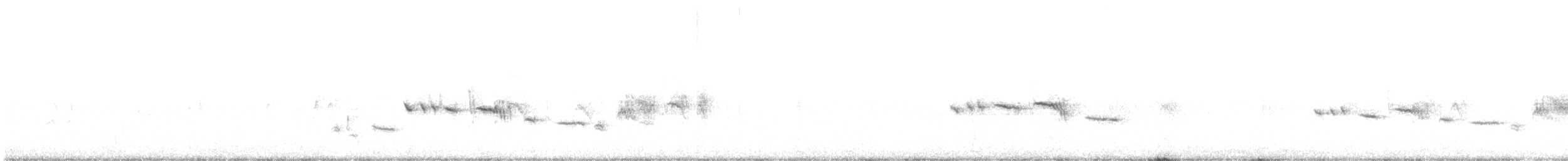 Pipipi - ML644256948