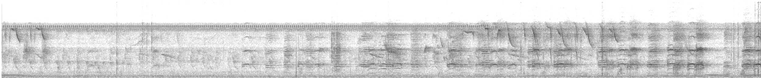 Buff-necked Ibis - ML644257541