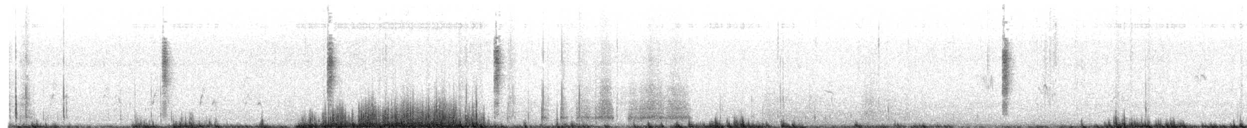Junquero troglodyte - ML644257550