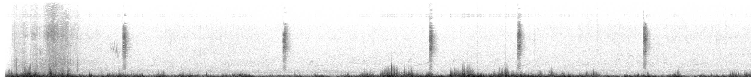 Junquero troglodyte - ML644257577