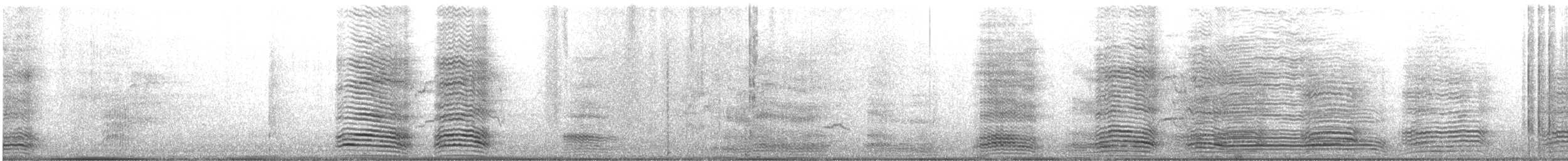 Cuervo Australiano - ML644257994