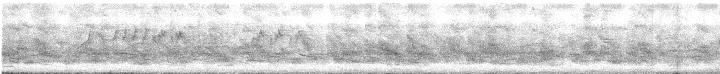 Étourneau à cou noir - ML644258521