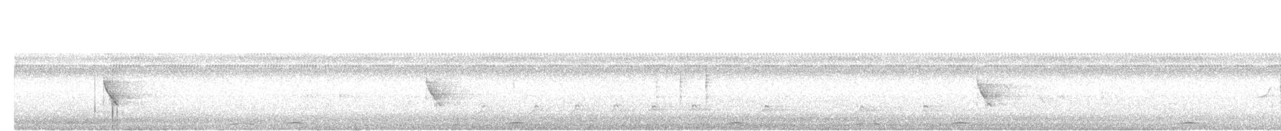 Горлиця філіпінська - ML644258586