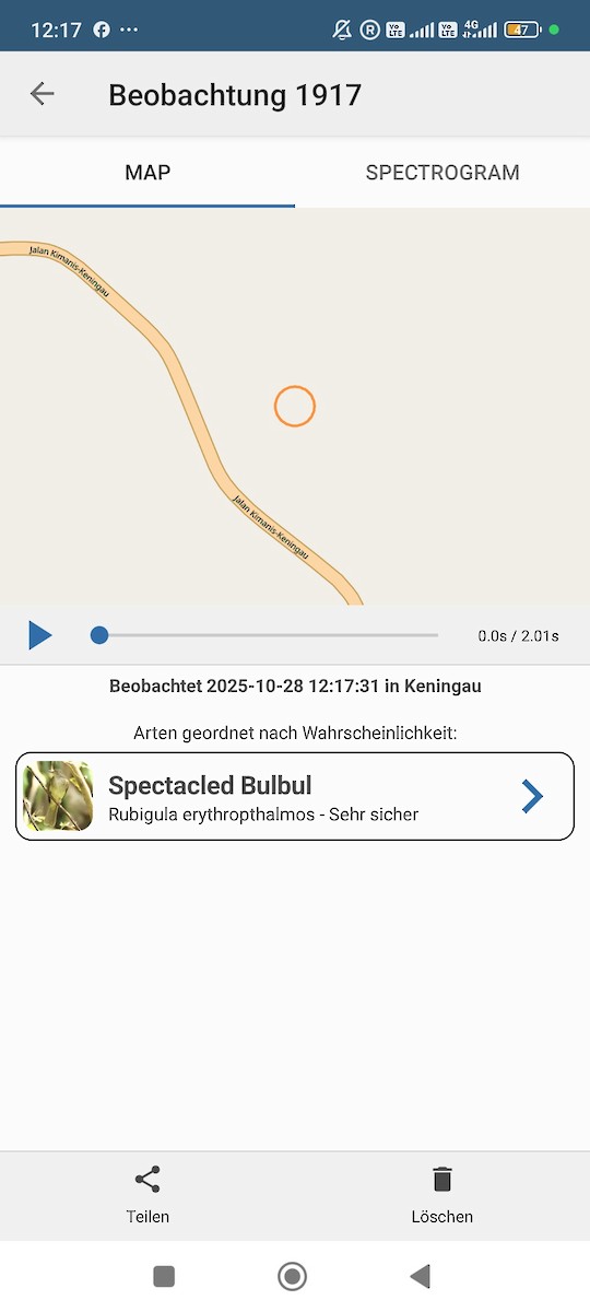 bulbul brýlatý - ML644258870