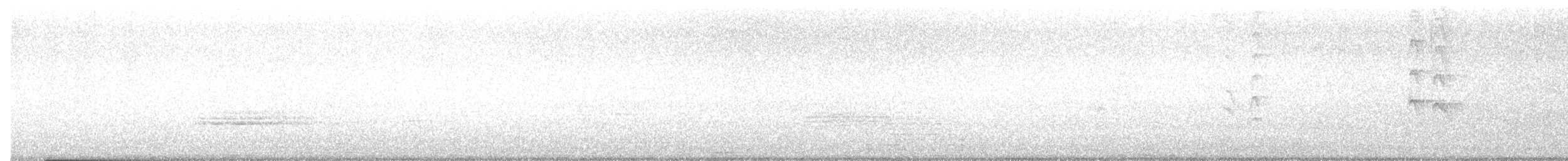 Shikra - ML644259050