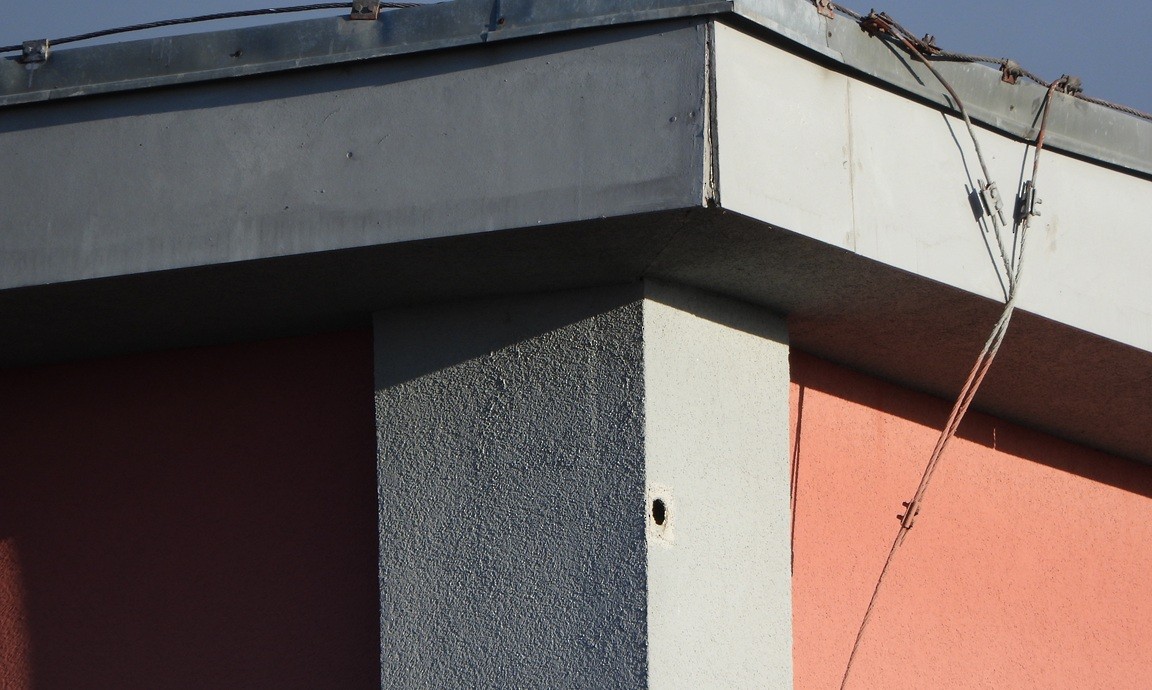 Eurasian Green Woodpecker - ML644259467