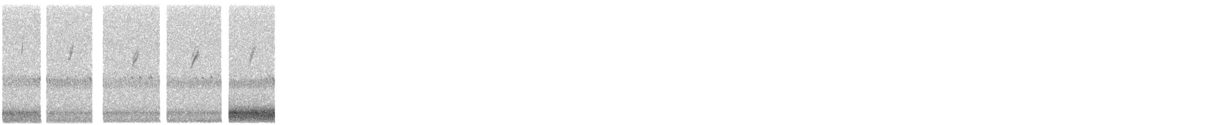 Parulidae sp. - ML644259737