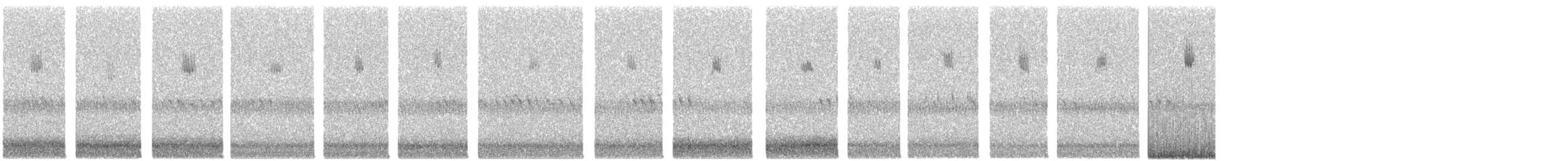 Parulidae sp. - ML644259766