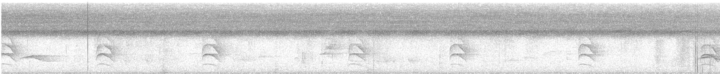 Amazonian Streaked-Antwren - ML644259985