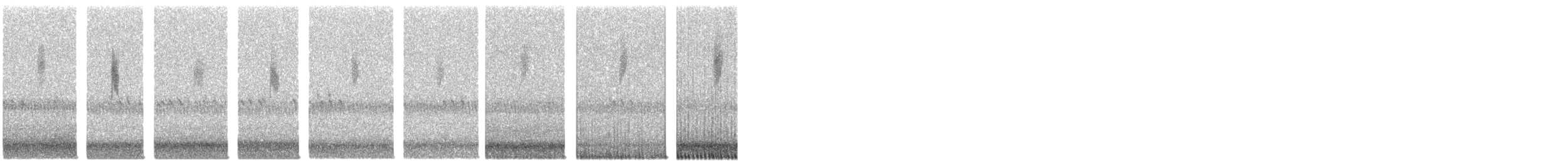 Common Yellowthroat - ML644260167